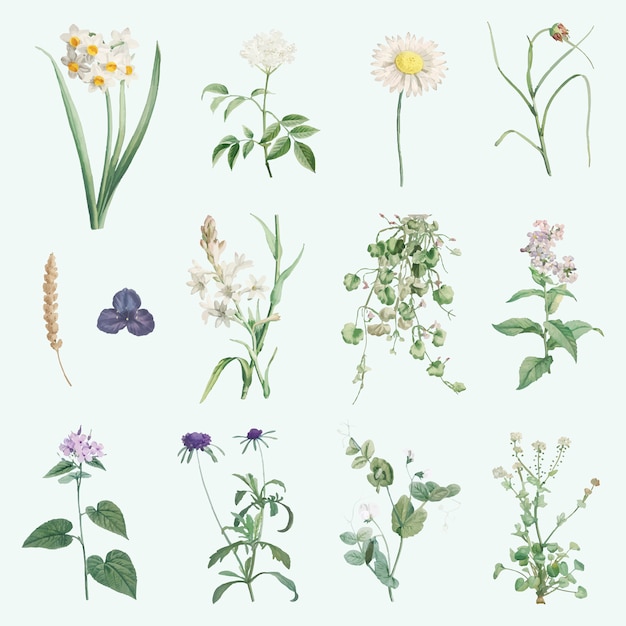 Free vector mixed summer flowers