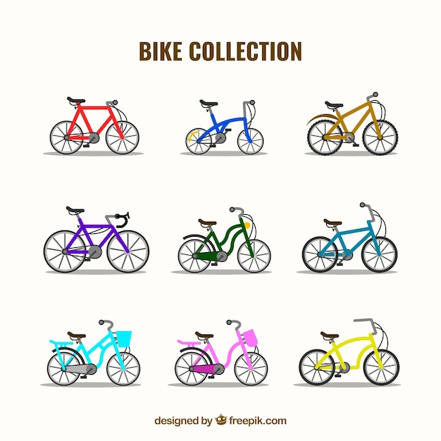 Free Vector modern variety of bikes with flat design