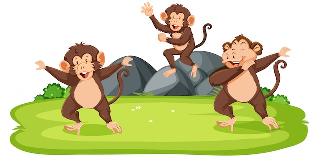 Free Vector monkeys in the wild