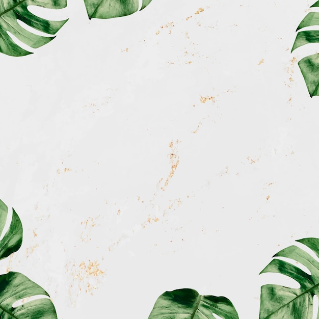 Free Vector monstera leaf frame on marble textured background