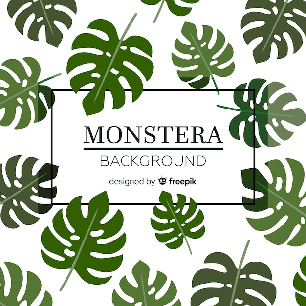 Free Vector monstera leaves