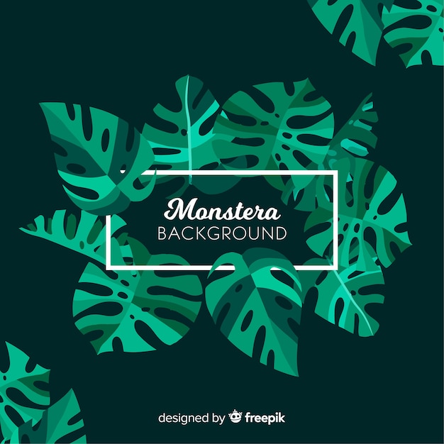 Free Vector monstera leaves