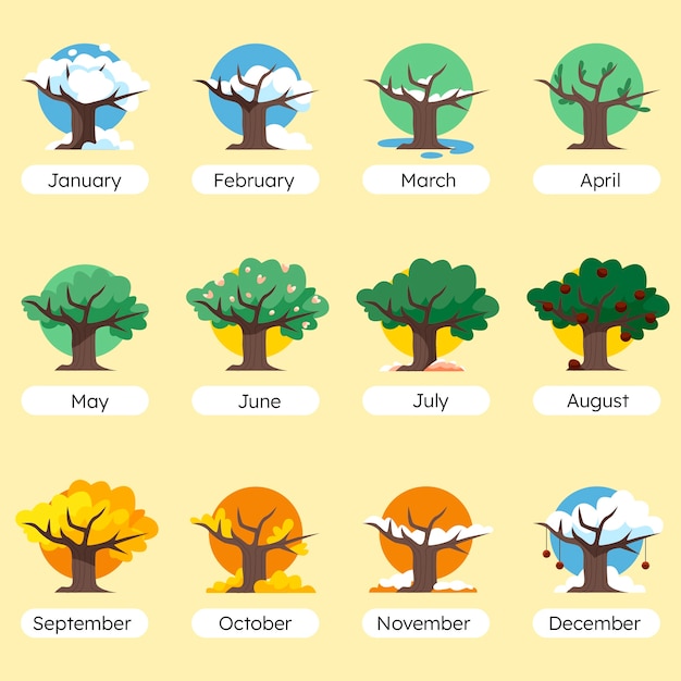 Free Vector months of the year template design