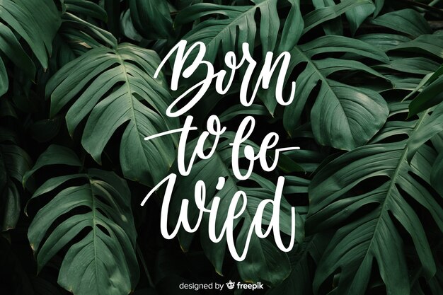 Motivational lettering on nature background