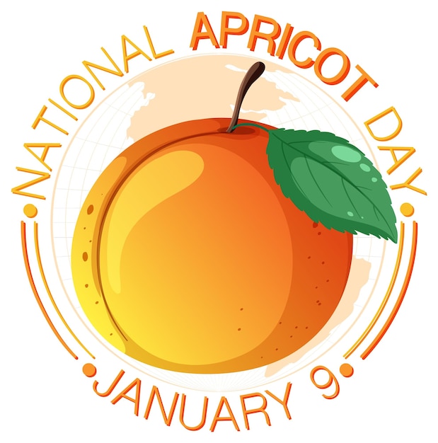 Free Vector national apricot day poster design