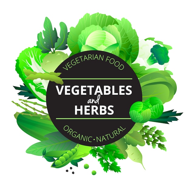 Natural organic vegetables and herbs rounded with cabbage courgette celery and pea green abstract vector illustration  