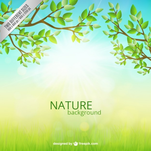 Free vector nature background