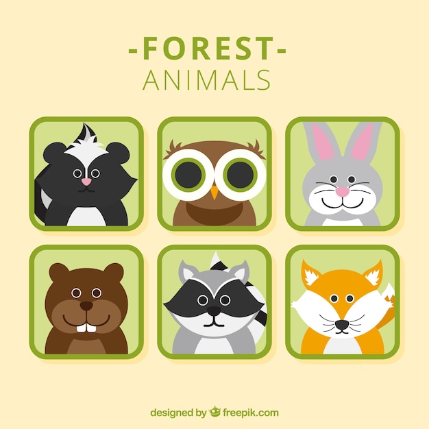 Free Vector nice forest animal avatars