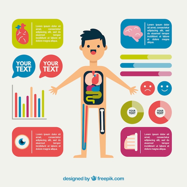 Free Vector nice infographic of the human body in flat design