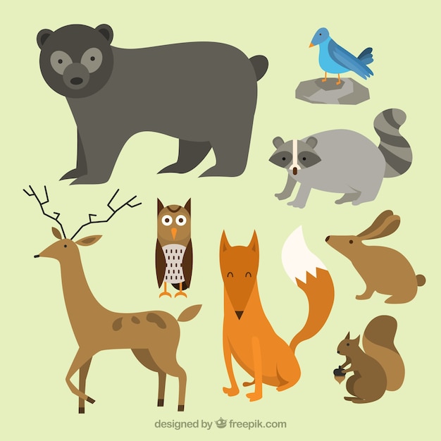 Free Vector nice wild animals 