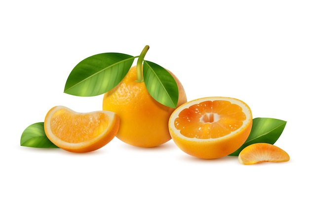 Oranges Realistic Illustration