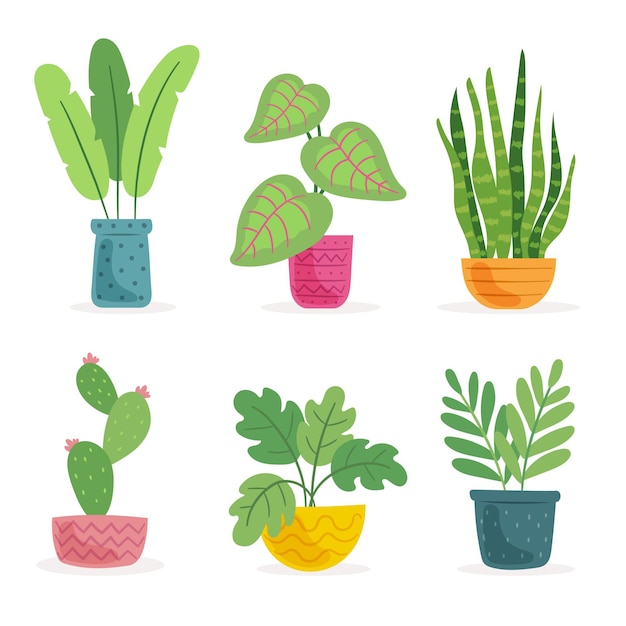 Free Vector organic flat houseplant collection