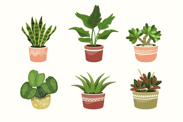 Free Vector organic flat houseplant collection