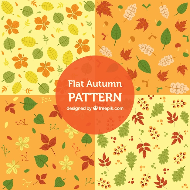 Free Vector pack of beautiful autumn patterns