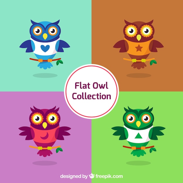 Free Vector pack of colored owls in flat design