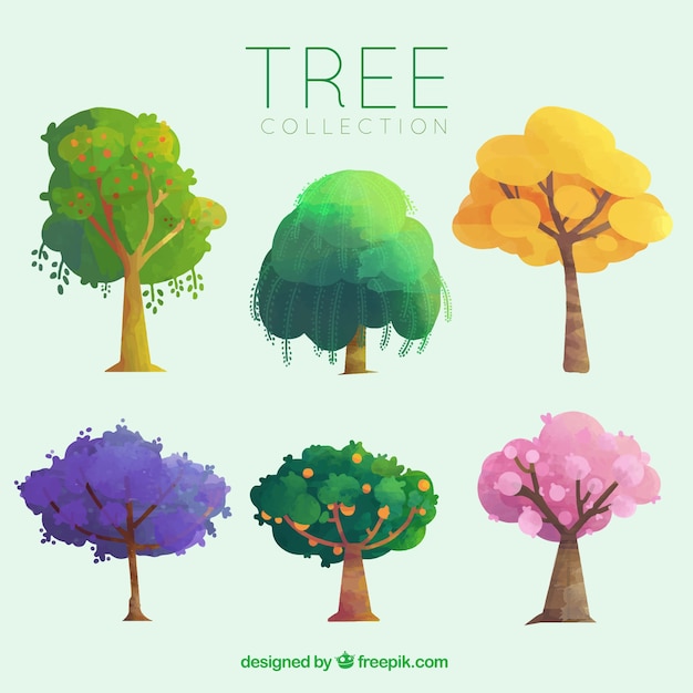 Free Vector pack of different trees with fruits