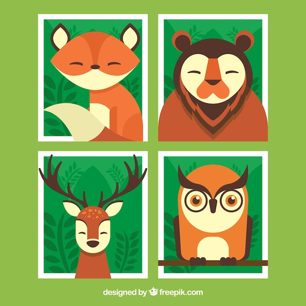 Free Vector pack of four cards with beautiful wild animals