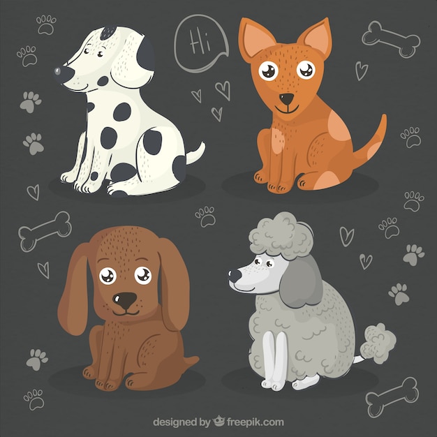 Free vector pack of four hand-drawn cute dogs