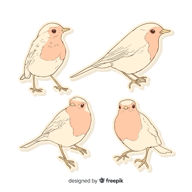 Free Vector pack of hand drawn birds