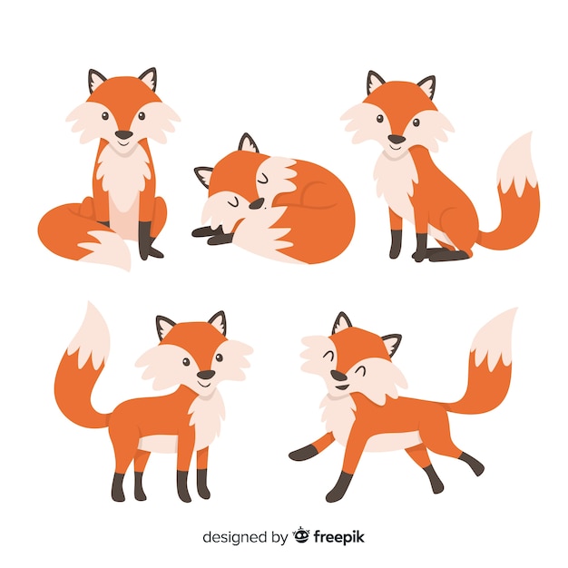 Free Vector pack of hand drawn foxes