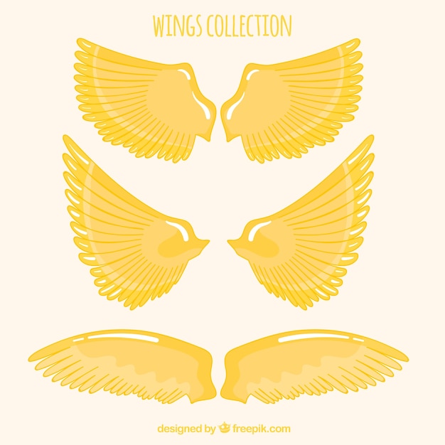 Free Vector pack of hand-drawn golden wings