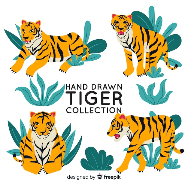 Free Vector pack of hand drawn tigers 