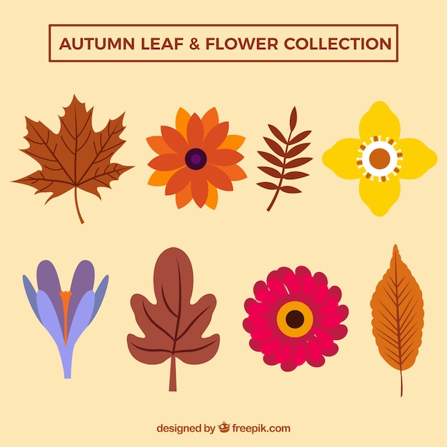 Free Vector pack of leaves and flowers in flat style