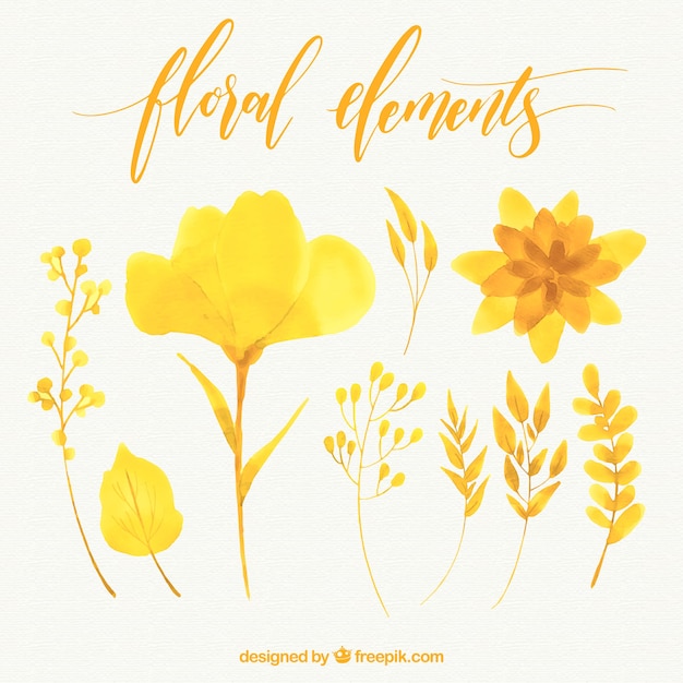 Free vector pack of yellow watercolor flowers