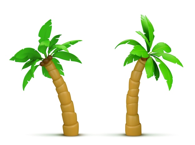 Free Vector palm tree with coconut realistic 3d vector