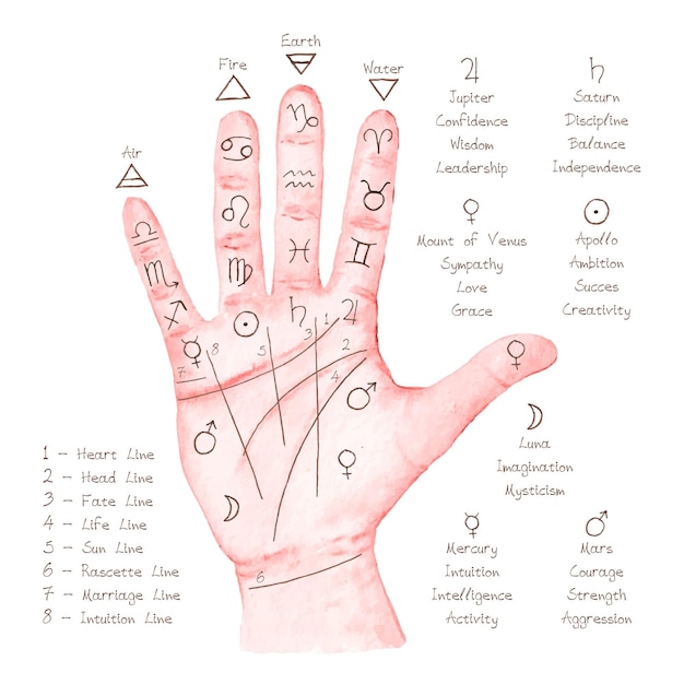 Free Vector palmistry concept