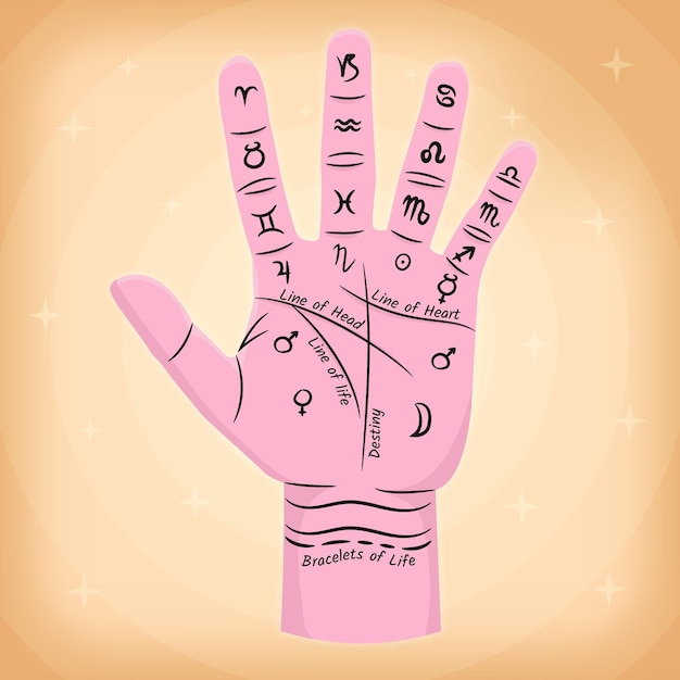 Free Vector palmistry with hand