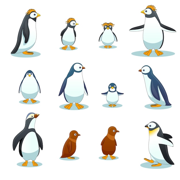 Free vector penguins characters in various poses vector set. penguin animal illustration, cartoon penguin, winter bird penguin
