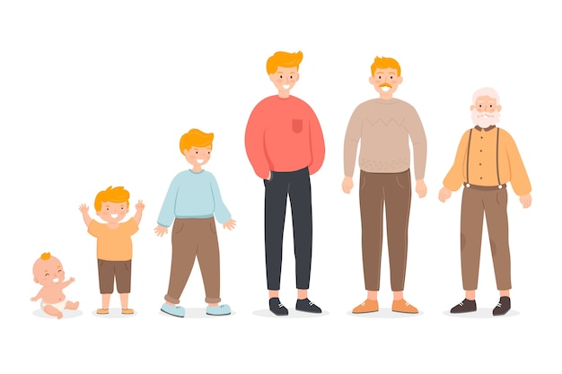 Free Vector a person in different ages