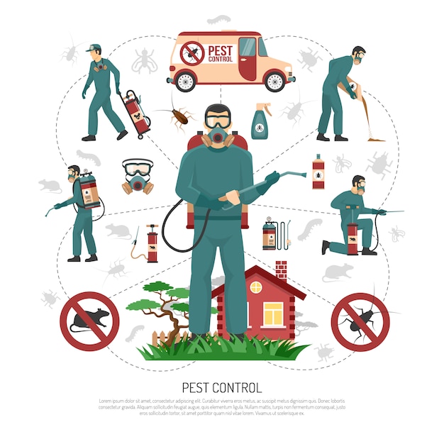 Free vector pest control services flat infographic poster
