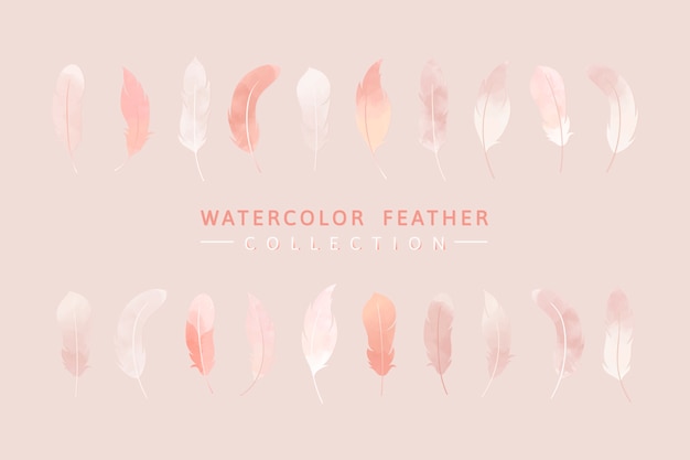 Free vector pink feather background