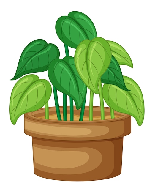 Free Vector plant in a pot in cartoon