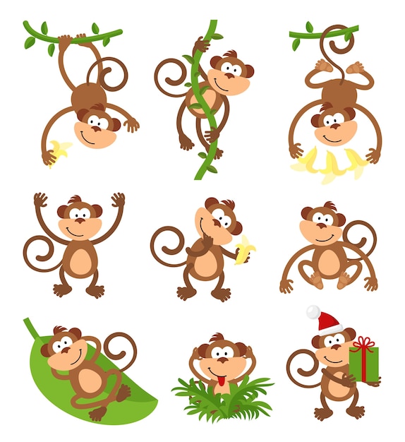 Free Vector playful monkeys character  set.