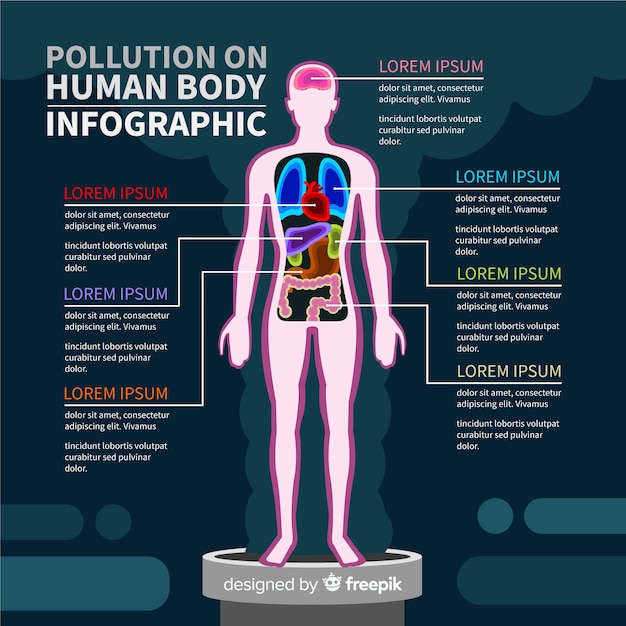 Free Vector pollution on human body infographic