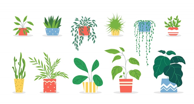 Free Vector potted plants set