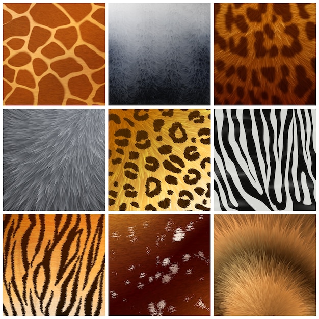 Real and faux exotic fur skin hide texture color pattern 9 realistic samples collection isolated 