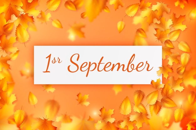 Free Vector realistic 1 september background