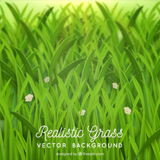 Free vector realistic background with grass and flowers