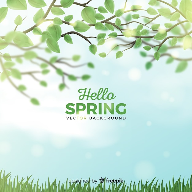 Free vector realistic branches spring background