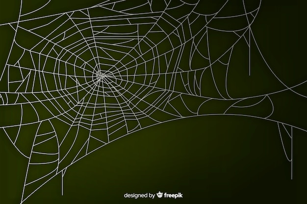 Free Vector realistic cobweb with gradient