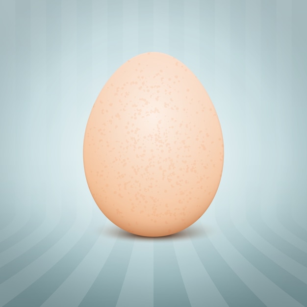 realistic egg