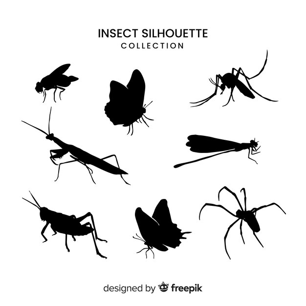 Realistic insect silhouette collection