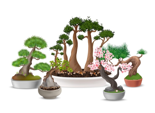 Free Vector realistic japanese bonsai tree composition with blooming sakura in flower pot vector illustration