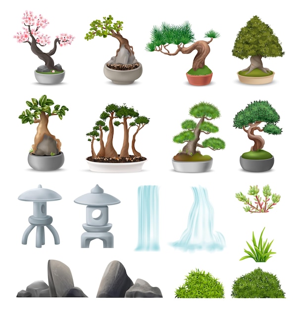 Free Vector realistic japanese bonsai tree icons set with natural stone garden elements isolated vector illustration