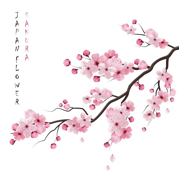 Realistic Sakura Branch