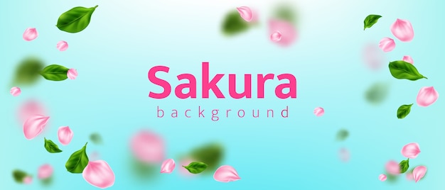 Free Vector realistic sakura flower petals background